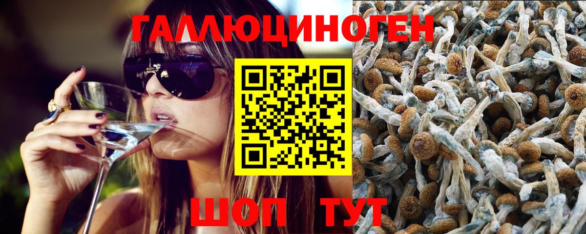 Верхний Уфалей  Галлюциногенные грибы MAGIC MUSHROOMS  Вход с VPN 